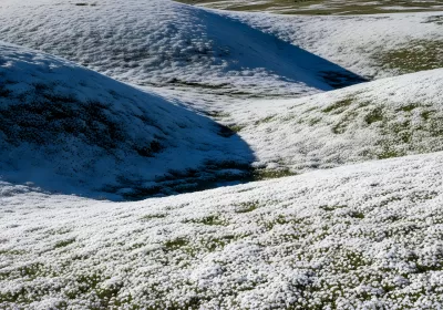 Imagen PNG para descargar